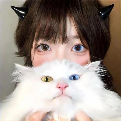荒野上的光